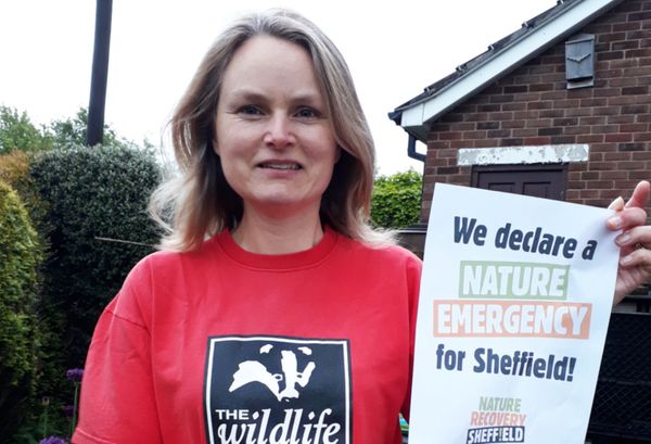‘A lot of people don’t even know jobs like this exist!’ – how I became a Living Landscape Development Manager with Sheffield and Rotherham Wildlife Trust (archived)